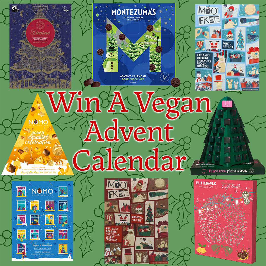 win-a-vegan-advent-calendar-2021-the-hectic-vegan